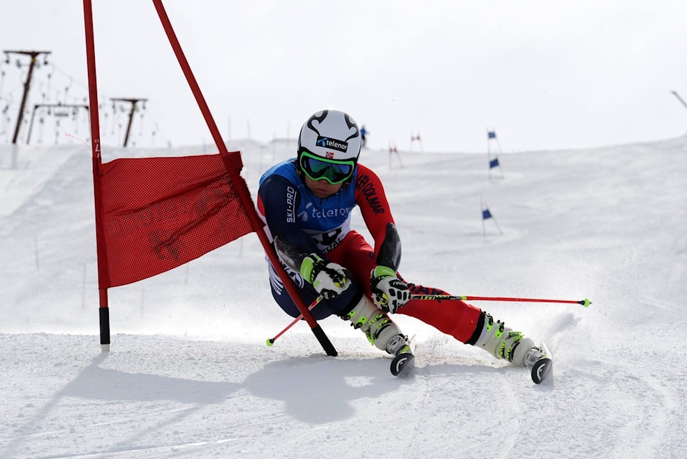 FIS Hemsedal SG
